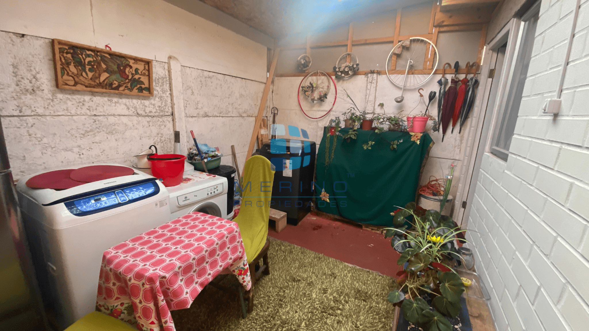 Compañia Baja, La Serena - Miniatura 10