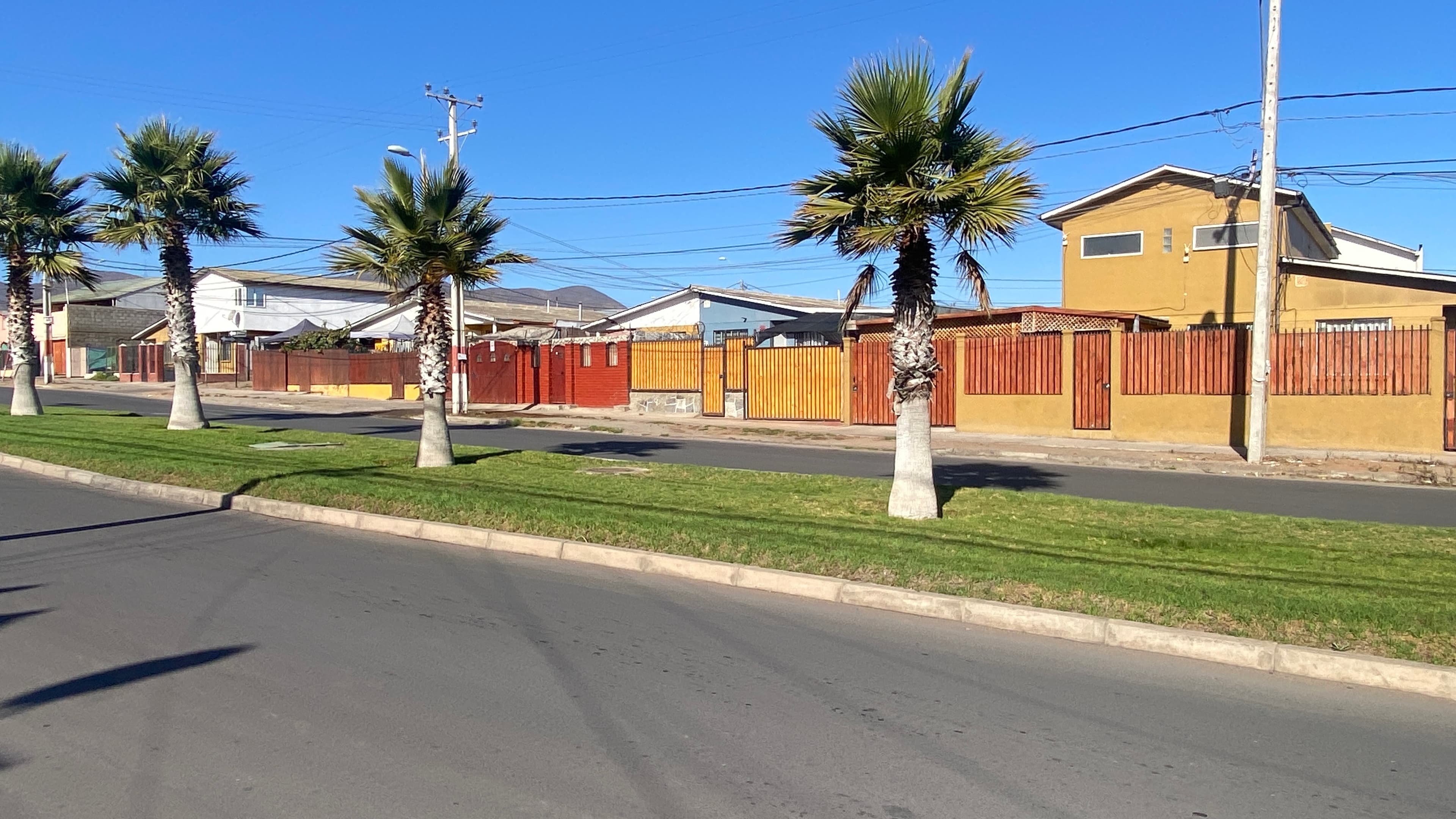 Compañia Baja, La Serena - Miniatura 11