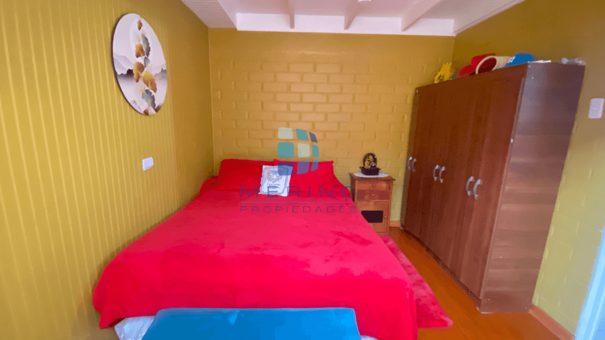 Compañia Baja, La Serena - Miniatura 8